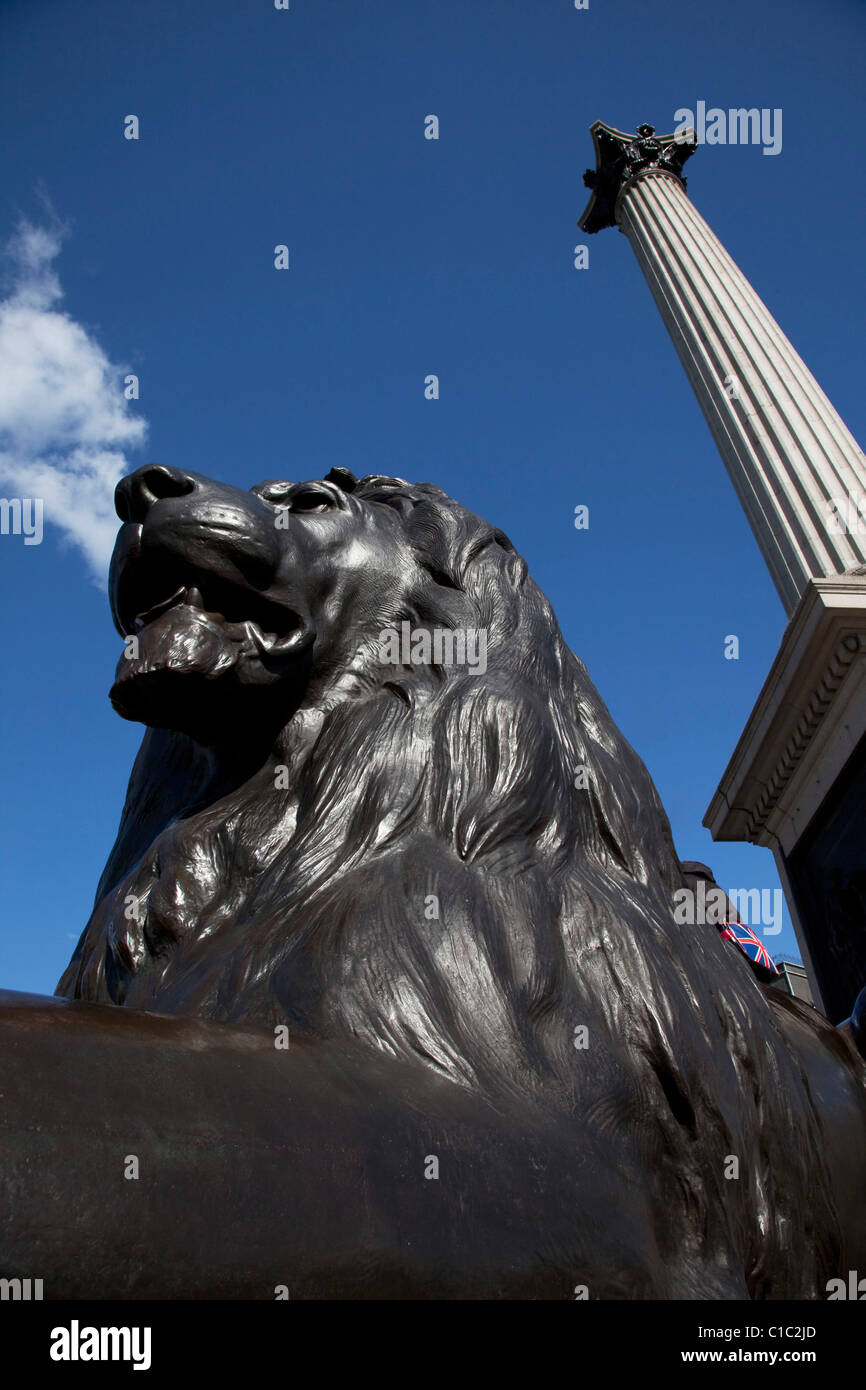 Famous lion statues in Trafalgar Square. London Stock Photo Alamy