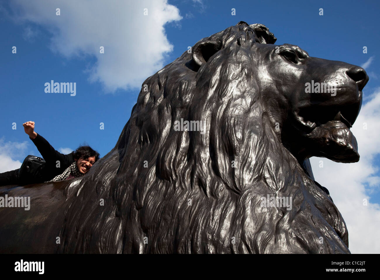 Statue of lion in trafalgar square hi-res stock photography and images ...