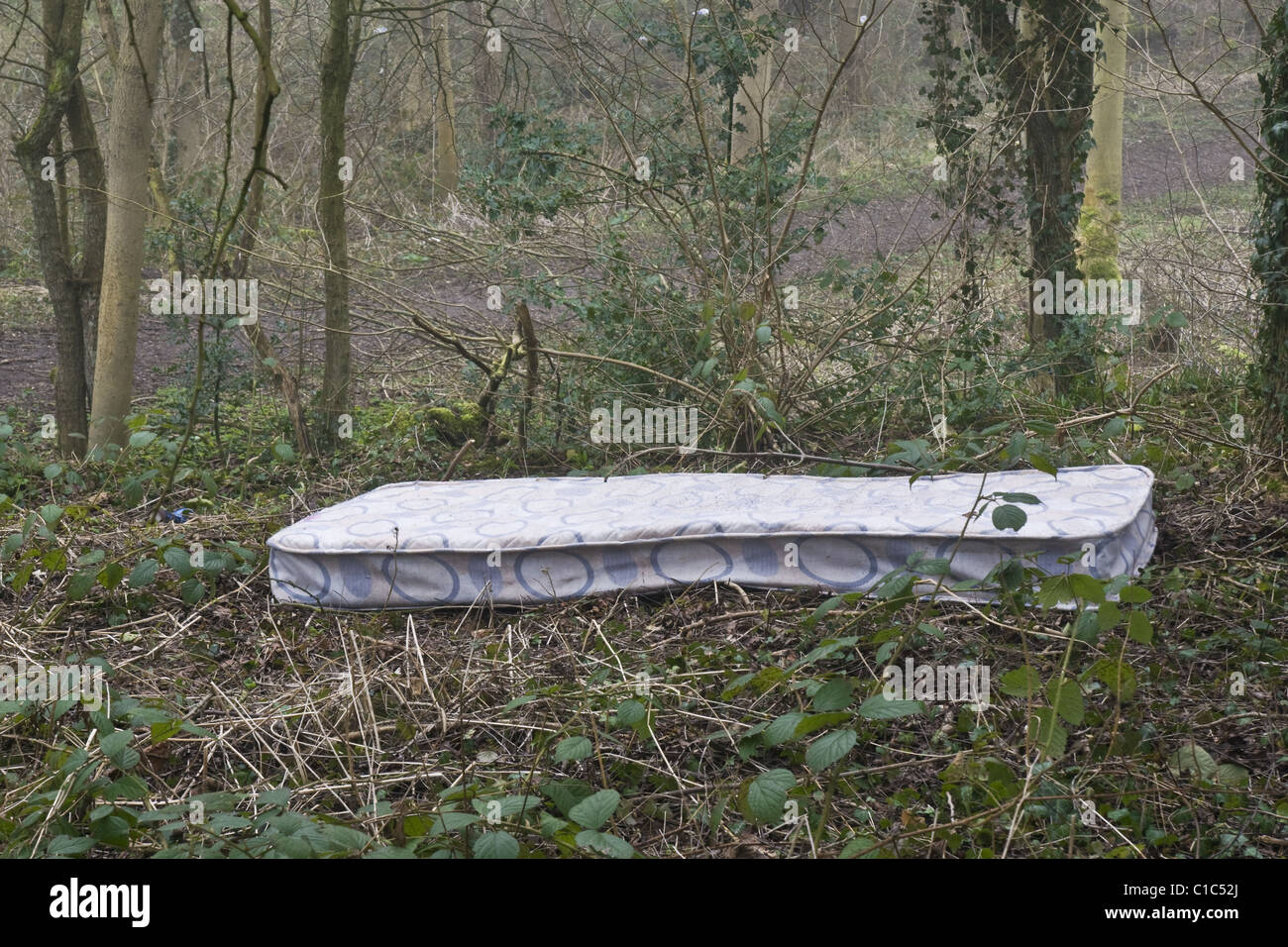 An old mattress illegally dumped in a woodland in North Yorkshire Stock