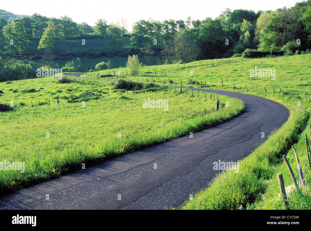 France, Puy de Dome, route de campagne au milieu des pâturages, parc des volcans d'Auvergne Stock Photo