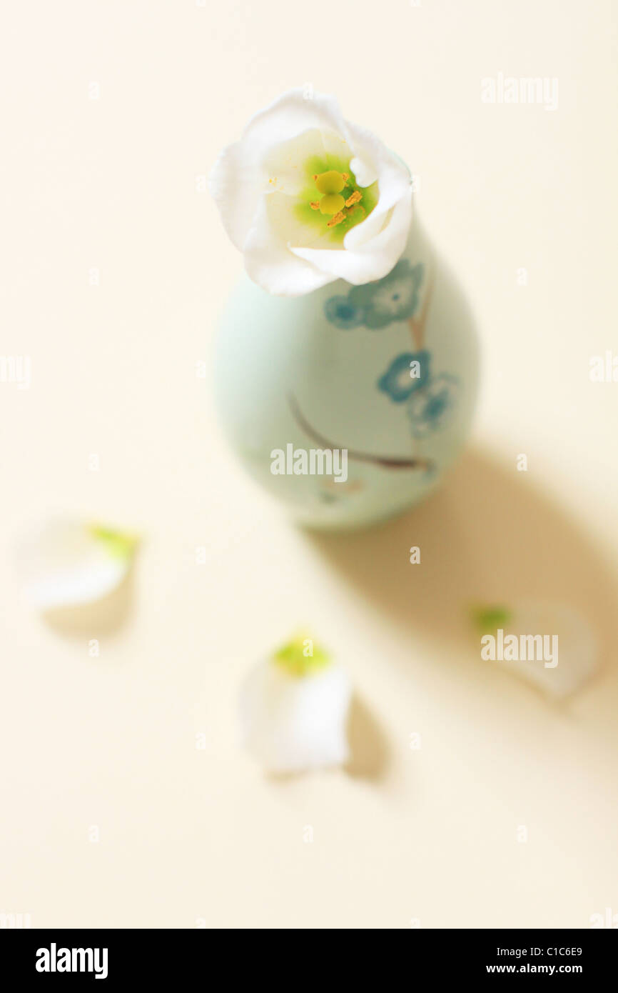 One White Flower In Duck Egg Blue Oriental Style Vase With Three
