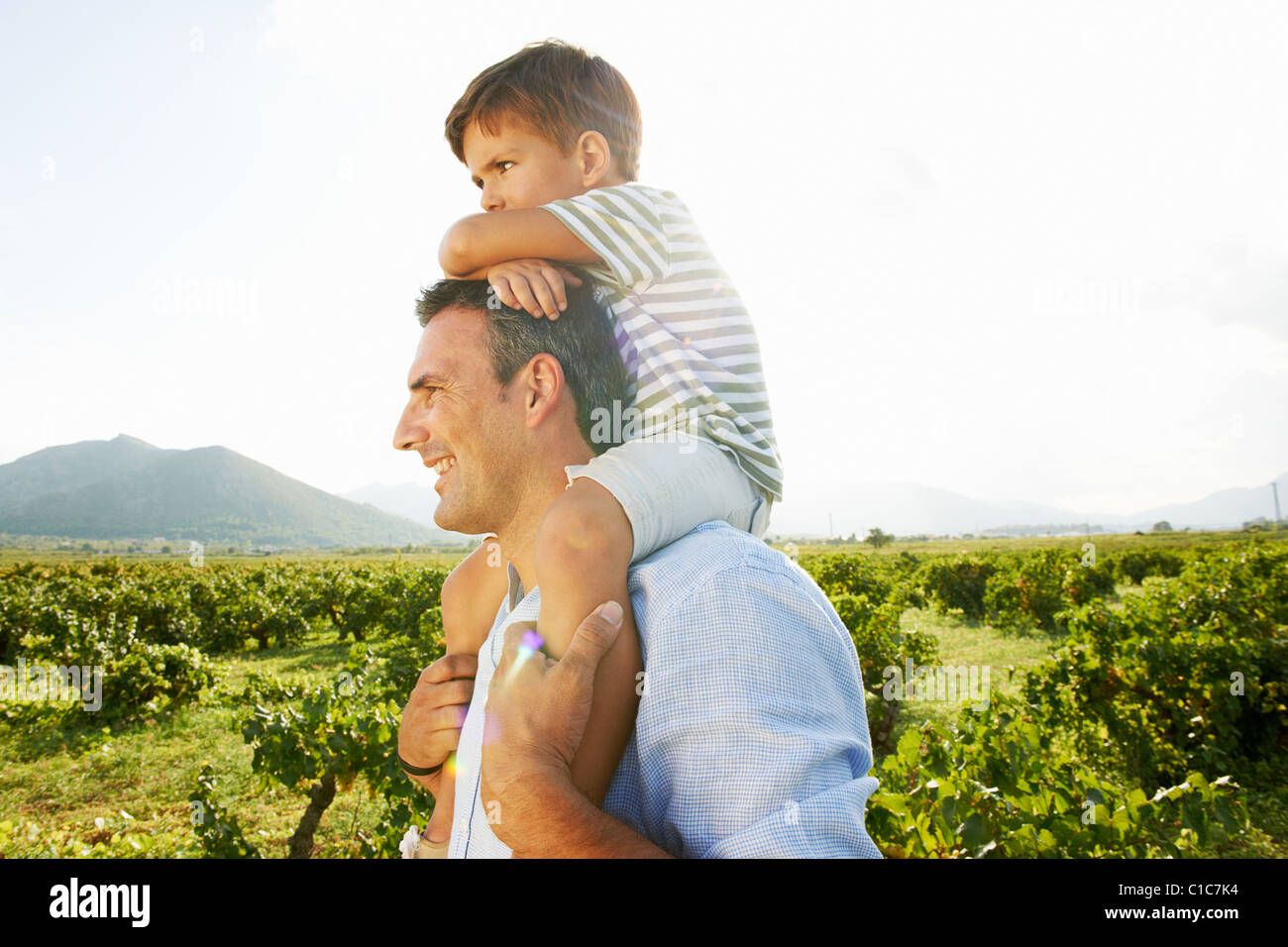 Father and son piggy backing in vineyard Stock Photo