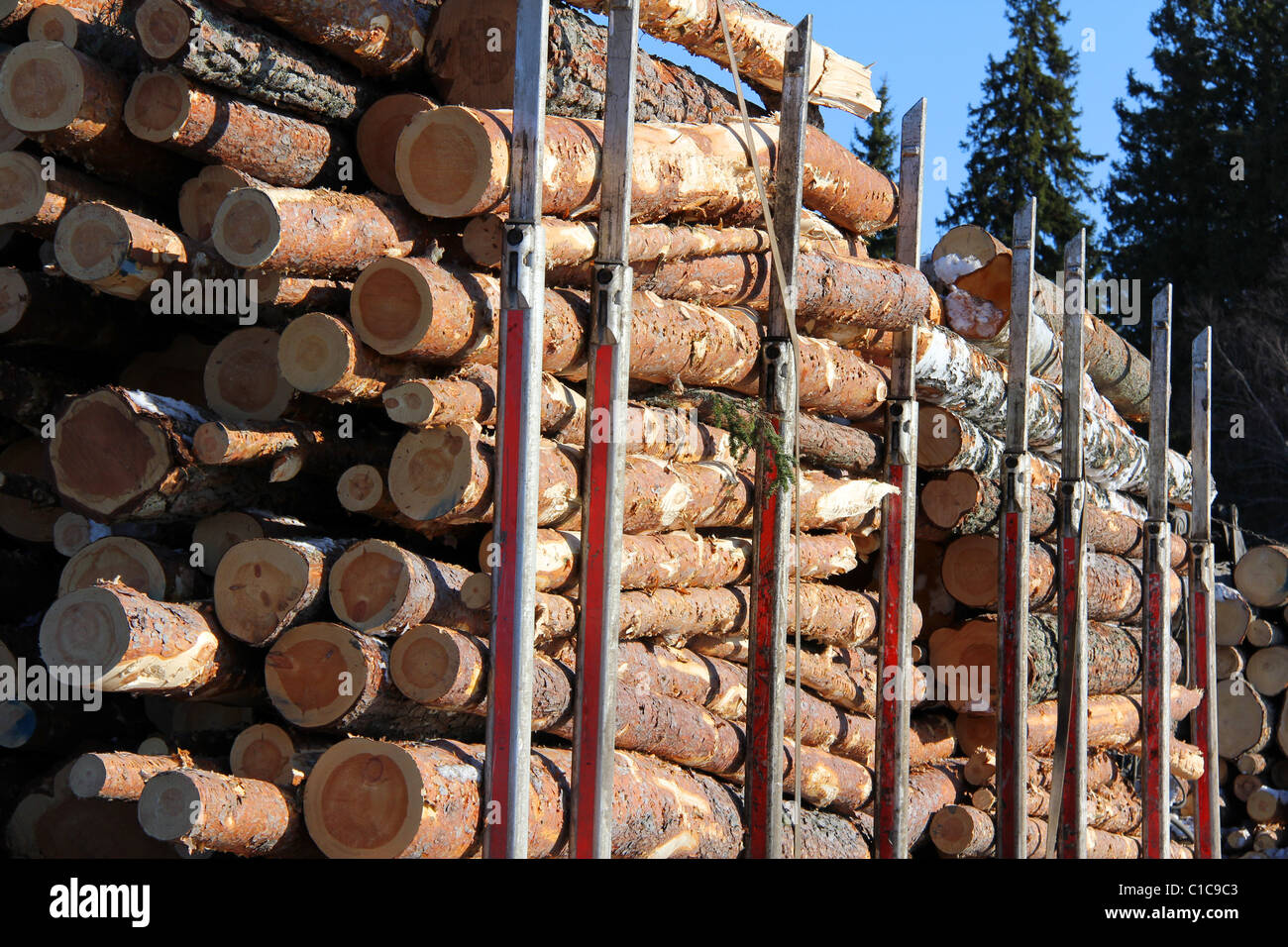 Wooden Logs on Logging Truck Trailer Stock Photo Alamy