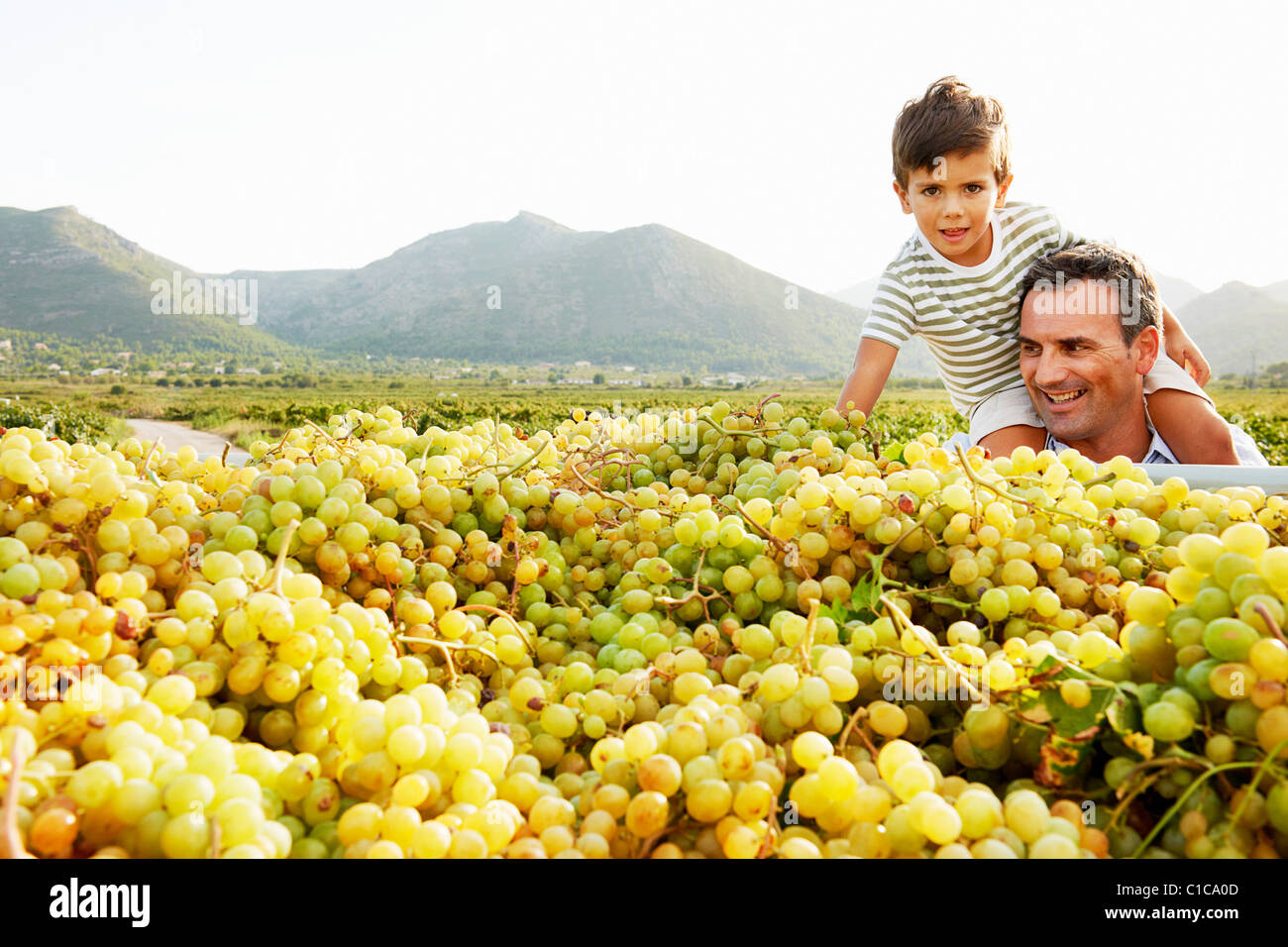 Father and son looking at pile of grapes Stock Photo