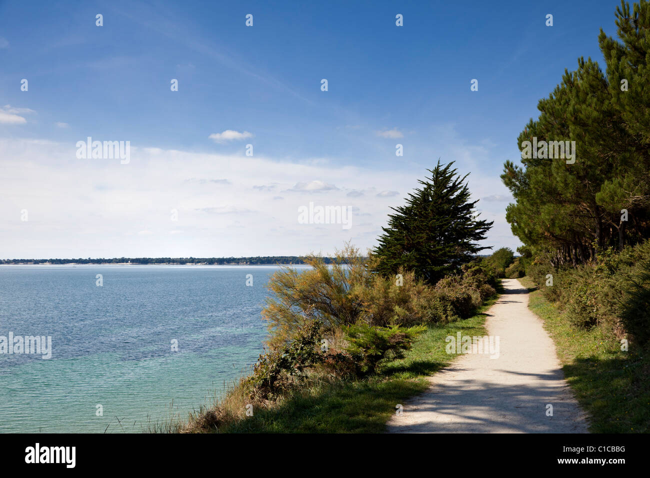 Coast path pathway, Brittany, France, Europe Stock Photo