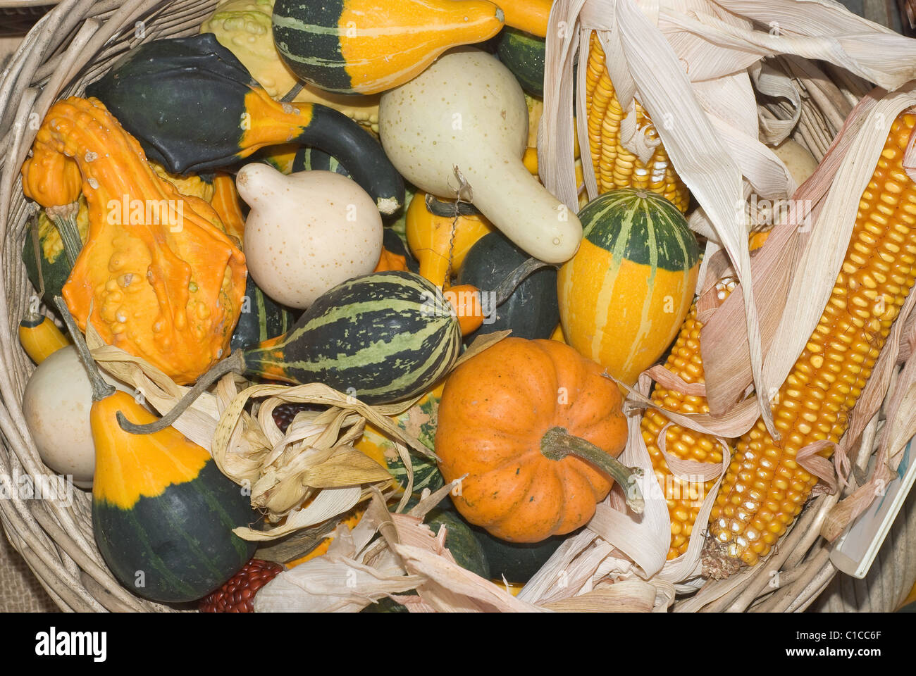 Gourds and Corn for sale at a Farmer's Market Stock Photo - Alamy