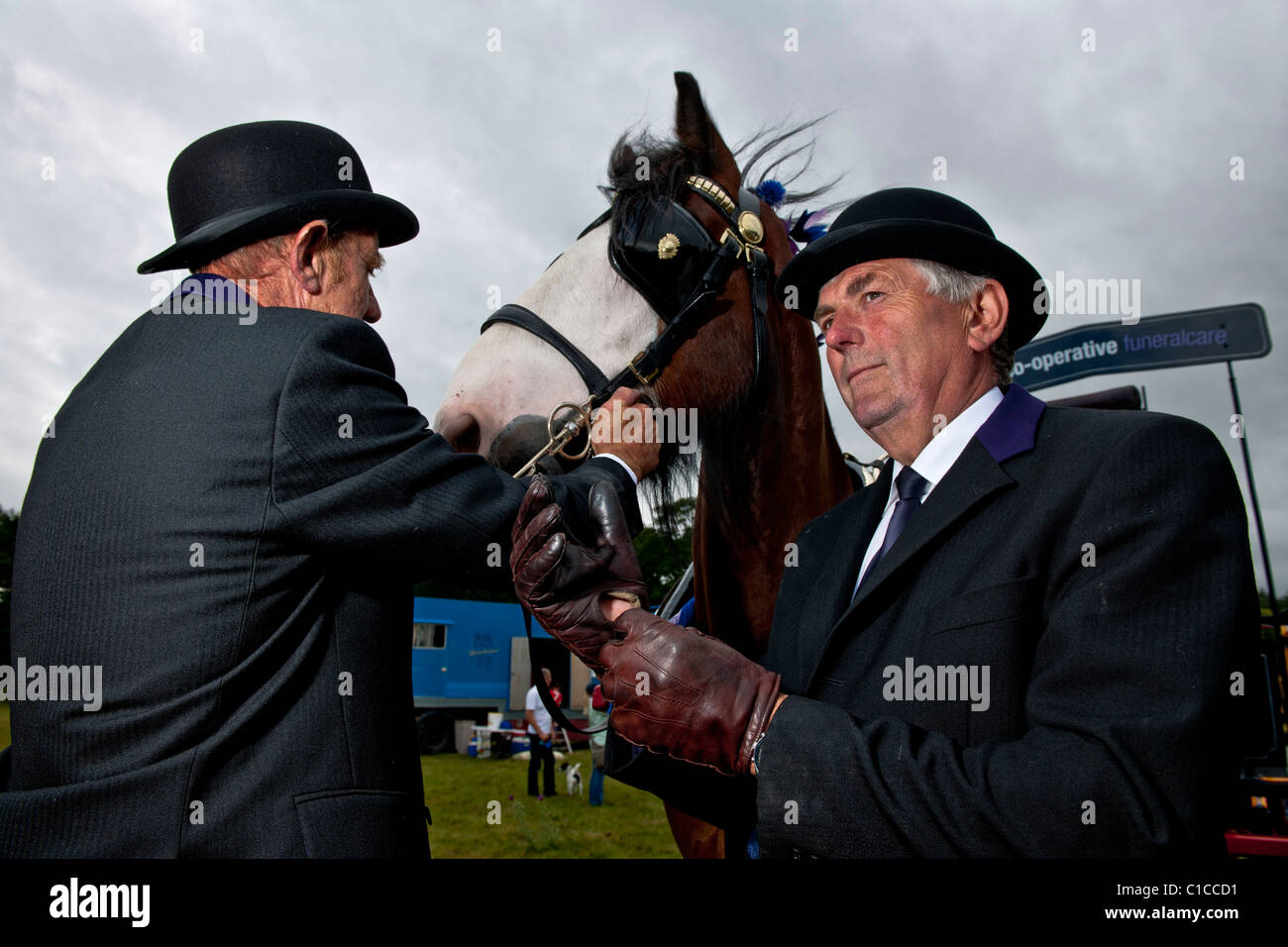 Funeral directors with Shire horses Stock Photo