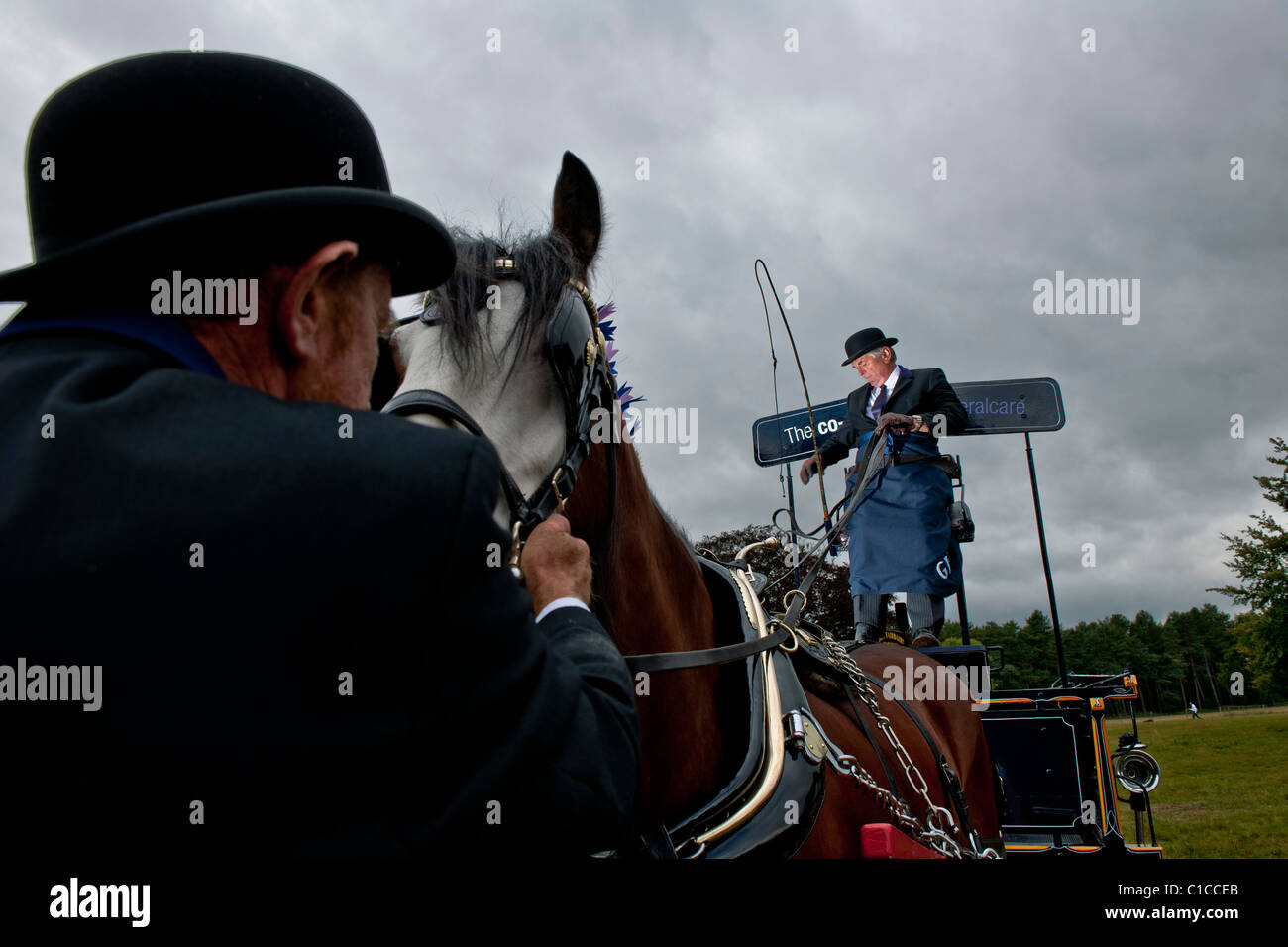 Funeral directors with Shire horses Stock Photo