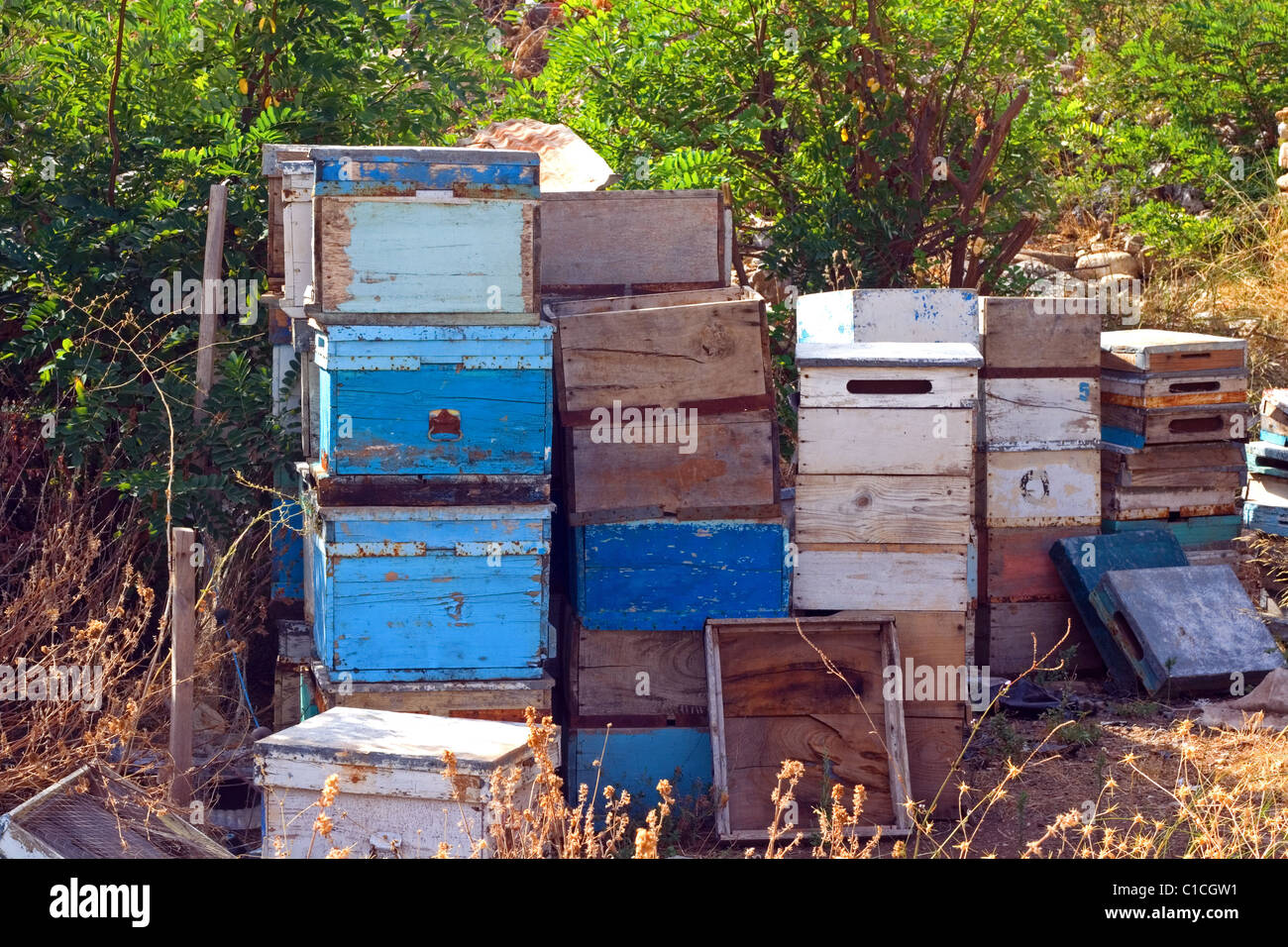 Old disused beehives being stored in a field in Turkey Stock Photo