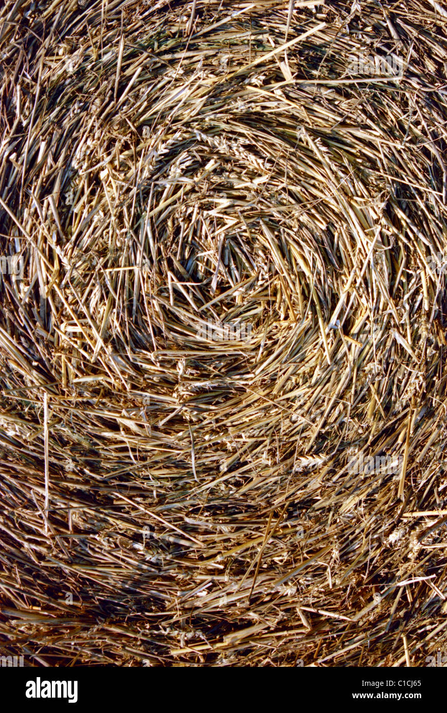Close-up of straw bales. Spiral texture. Stock Photo