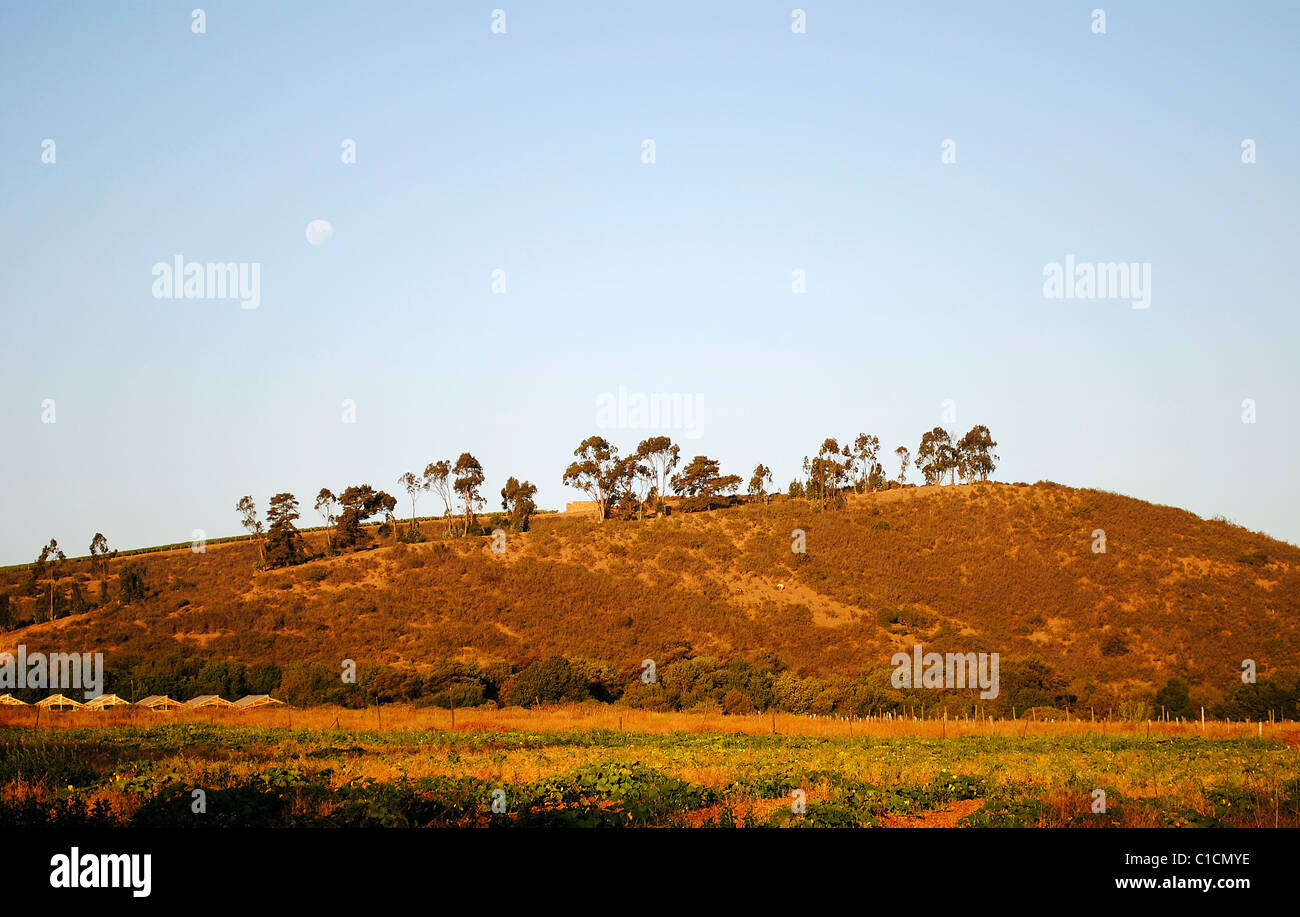 Rural landscape of Hill at sunset Stock Photo - Alamy