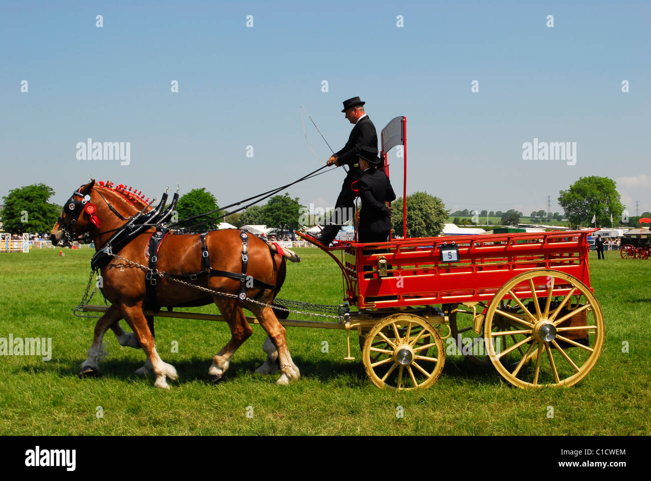Brewers Dray at an agricultural show in Somerset. Traditional Dray to carry  Ale. Large Shire horses pulling across a field Stock Photo - Alamy