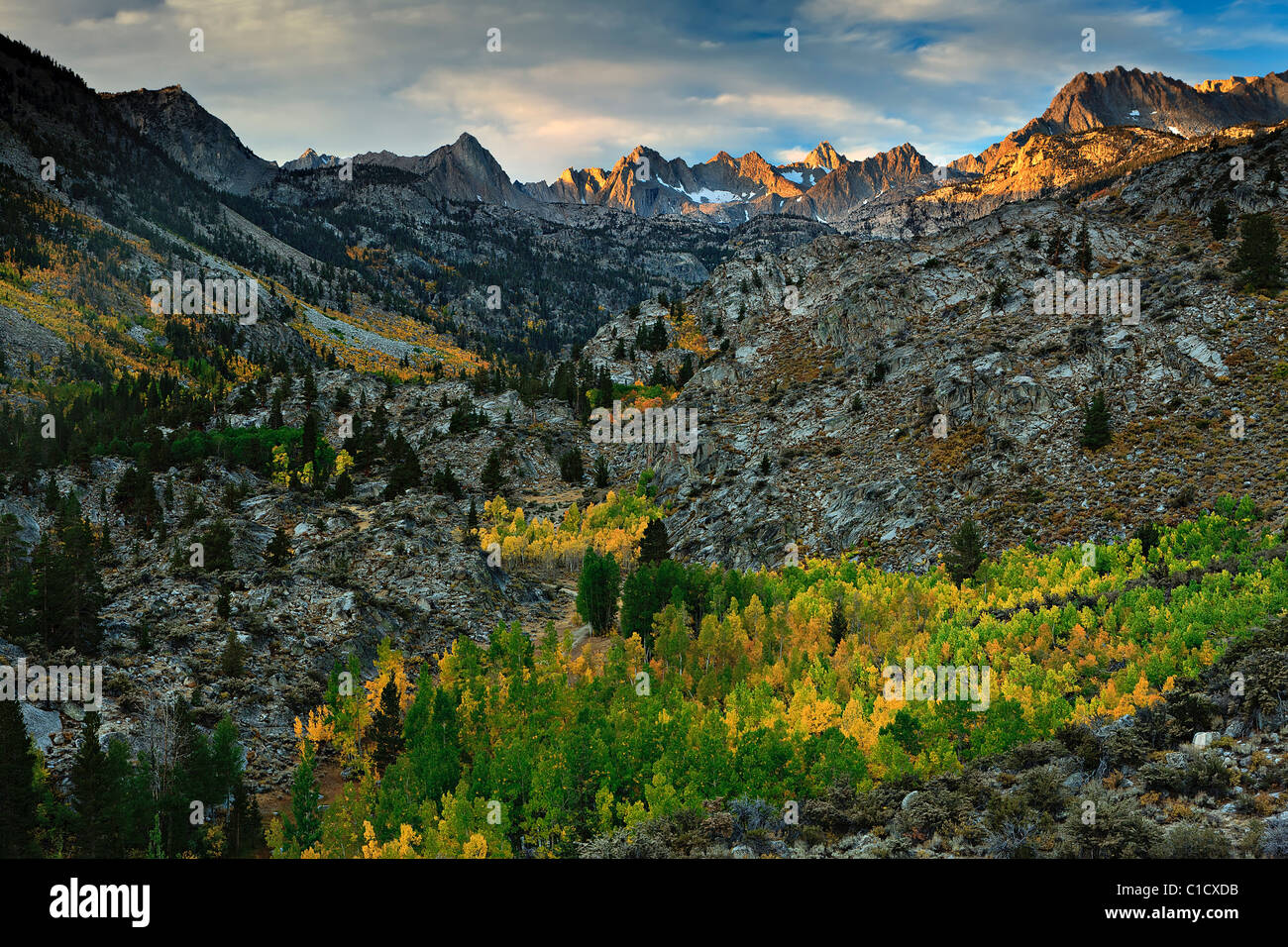 Fall sunrise in Bishop Creek Canyon below the craggy crest of the eastern Sierra above Bishop, California, USA. Stock Photo