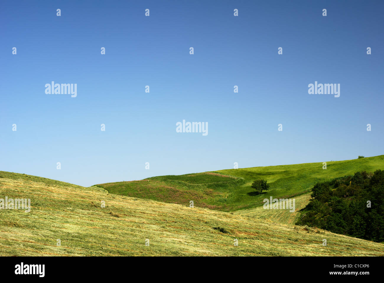 Summertime fields with hay and blue sky Stock Photo
