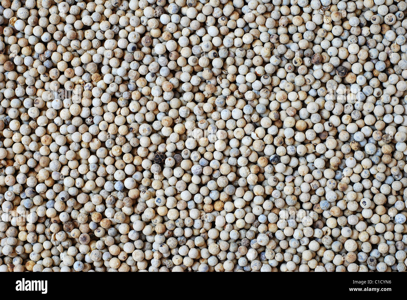 White pepper grain background Stock Photo