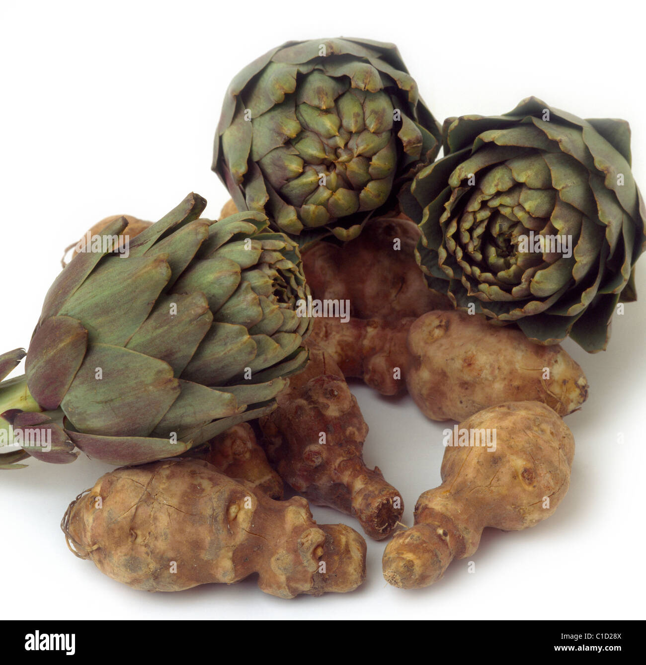 Artichokes Jerusalem & Globe Stock Photo Alamy