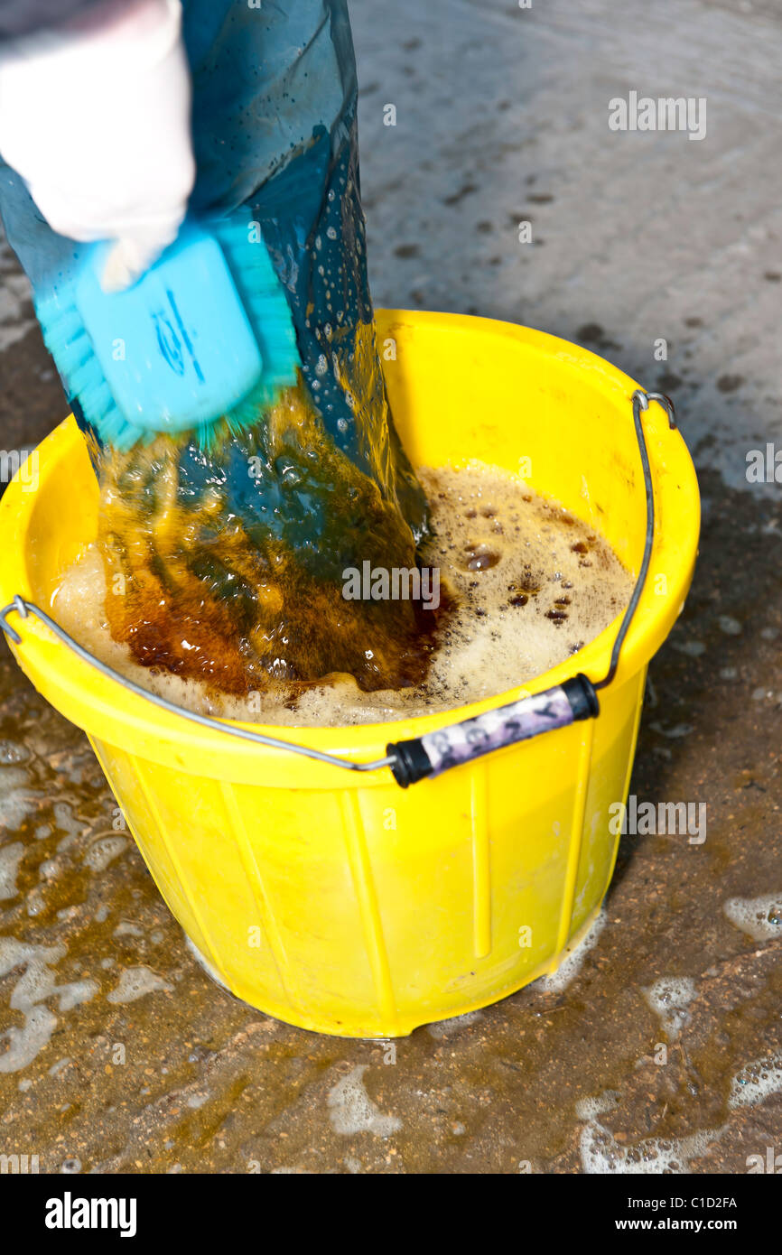On farm hygiene - a vet cleaning footwear after visiting a modern UK Dairy Farm. Stock Photo