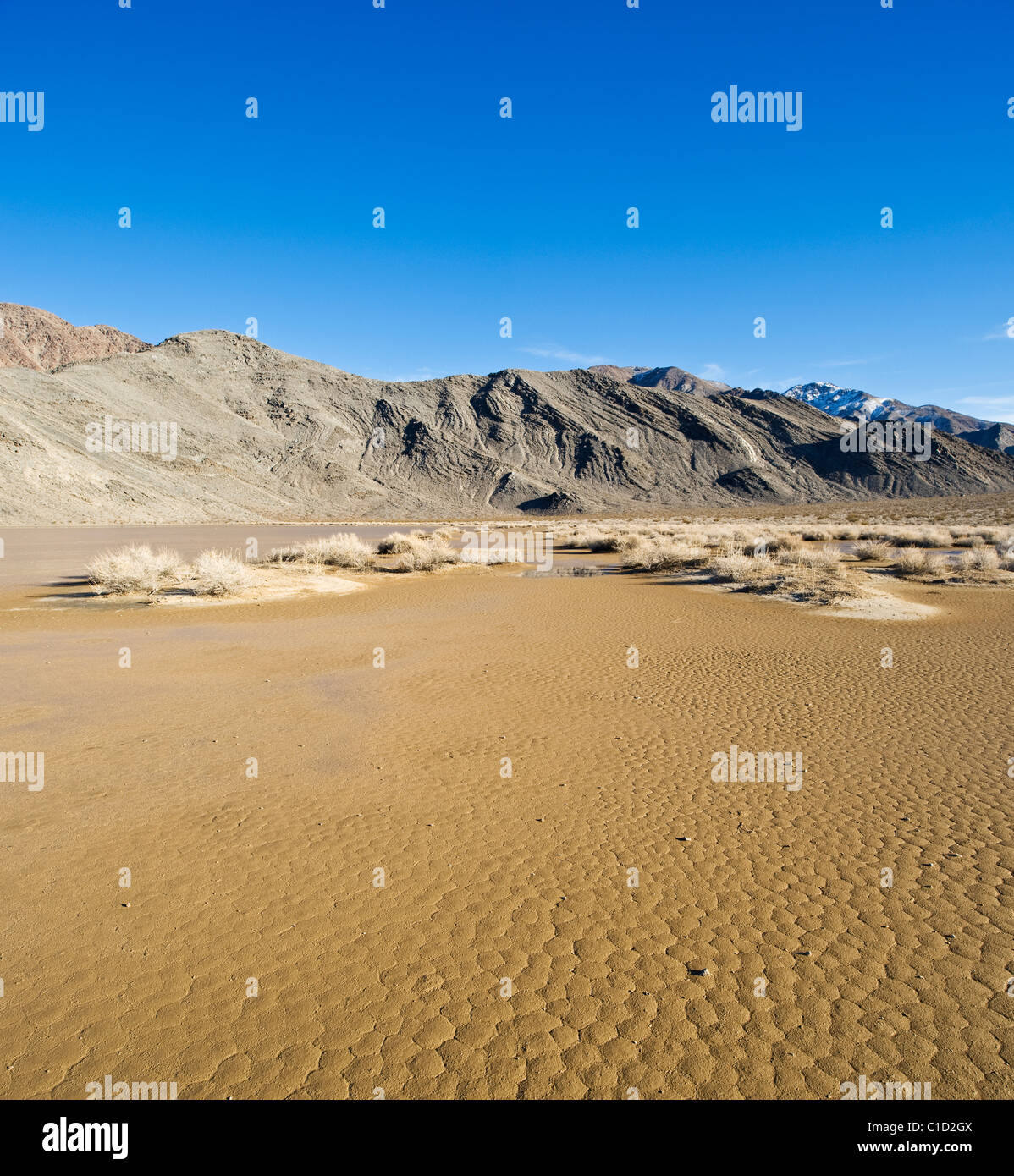 Devil's Racetrack playa lakebed muddy from winter rain, Death Valley ...