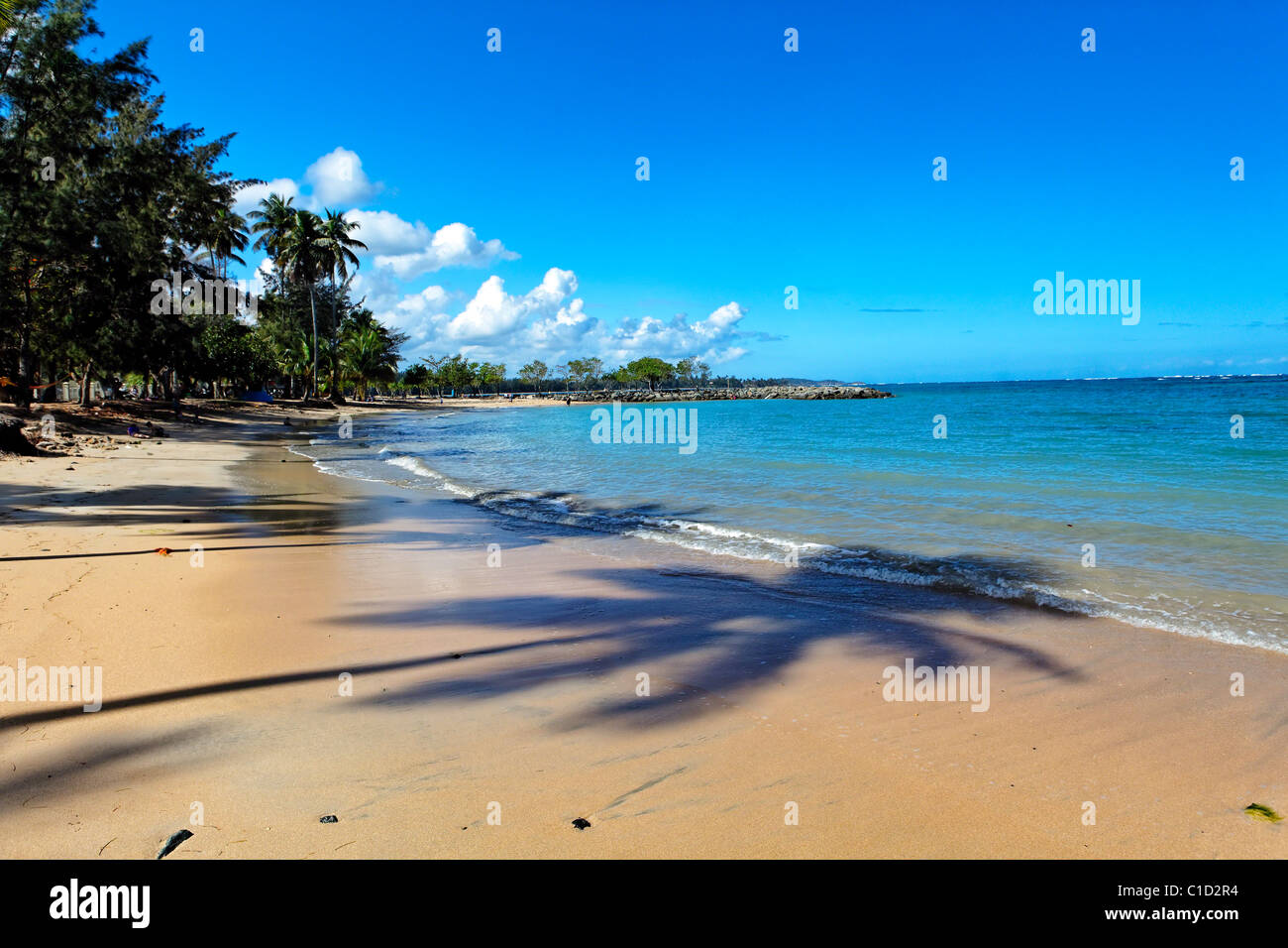 Shadow of a Palm Tree on Dorado Beach, Puerto Rico Stock Photo