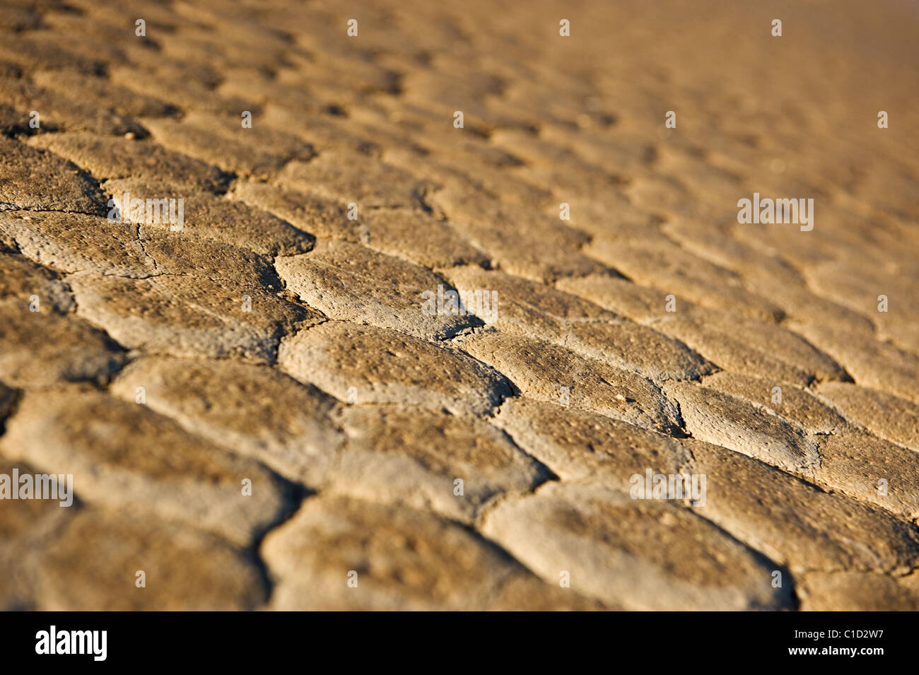 Detail of dry lake bed of the Devil's Racetrack playa, Death Valley ...