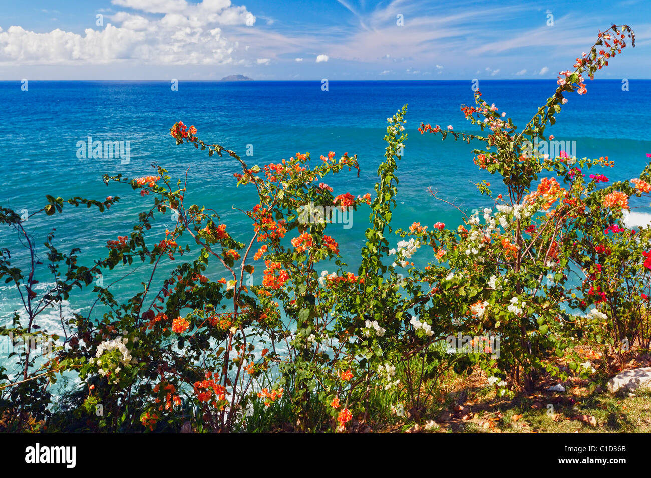 Scenic Coastal View with the Desecheo Island, Point Higuera, Puerto Rico Stock Photo