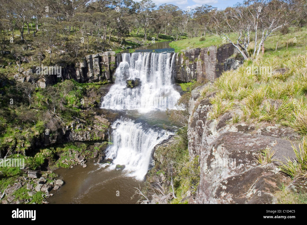 Ebor Falls on the Guy Fawkes River in New South Wales Australia Stock Photo