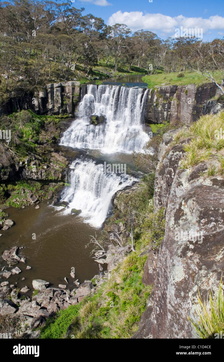 Ebor Falls on the Guy Fawkes River in New South Wales Australia Stock Photo