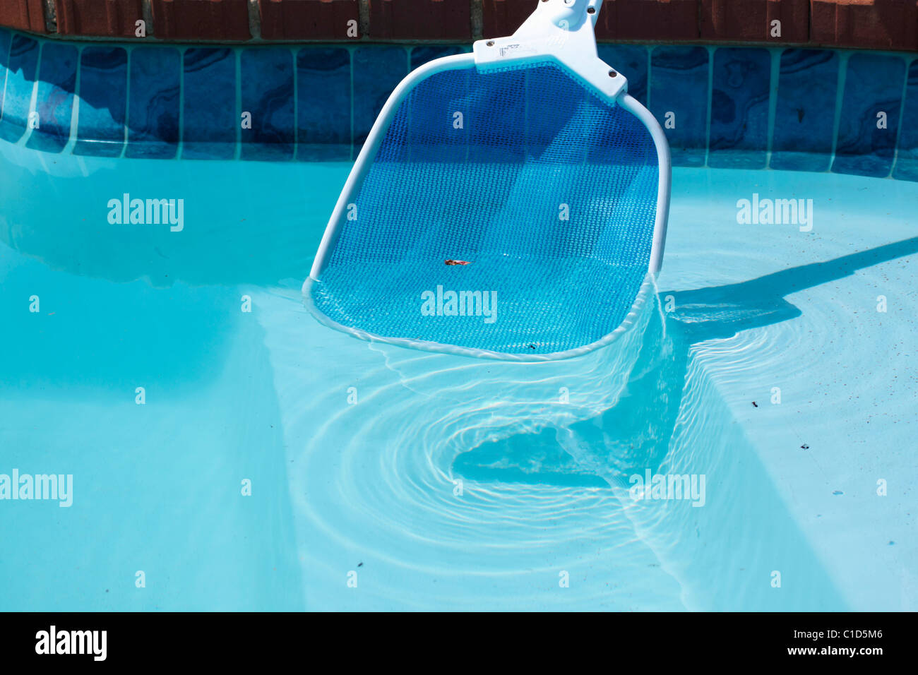 A swimming pool skimmer net being used to remove floating debris. Stock Photo