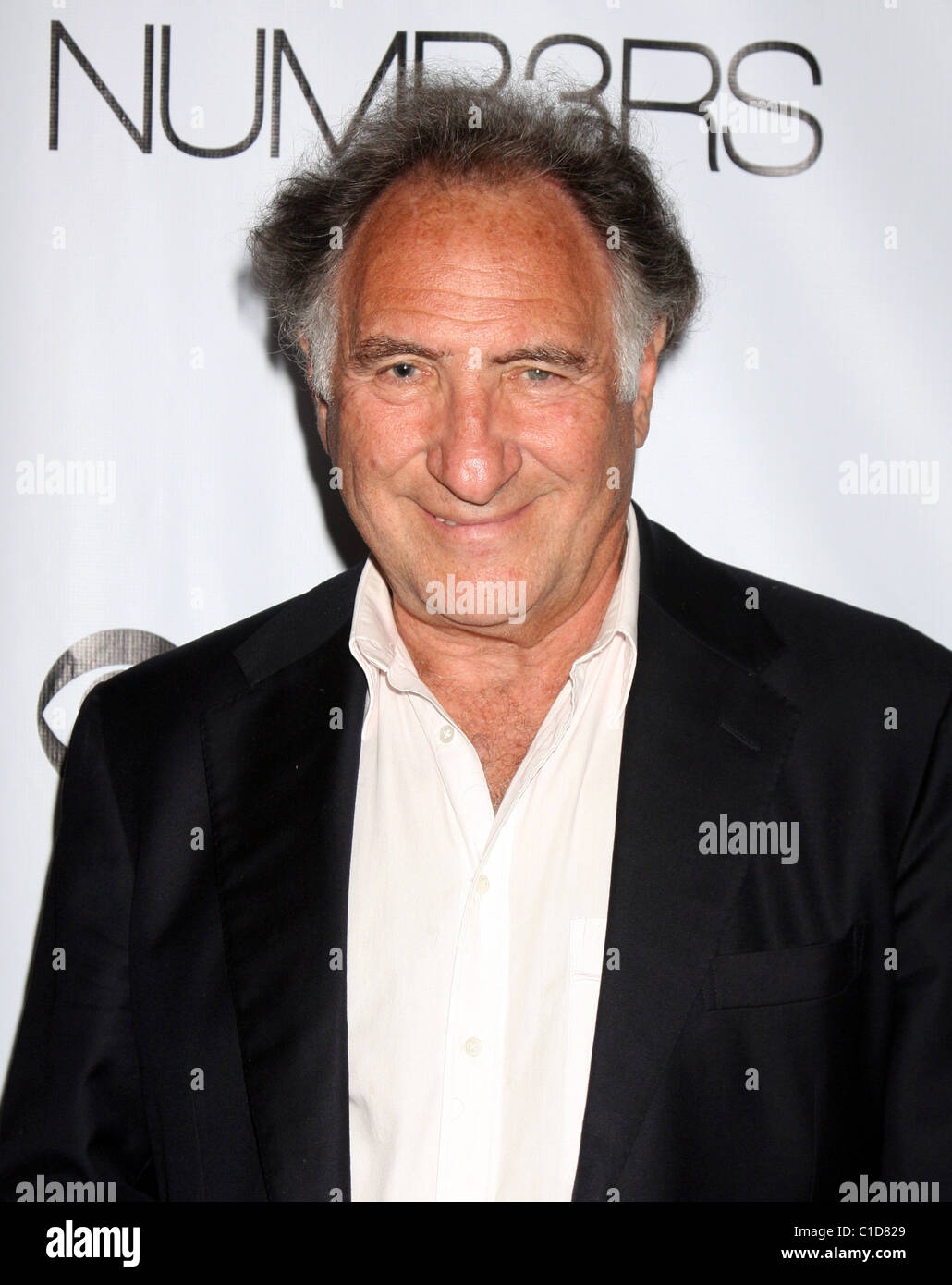 Judd Hirsch the Numb3rs 100th Episode Party at the Sunset Tower Hotel