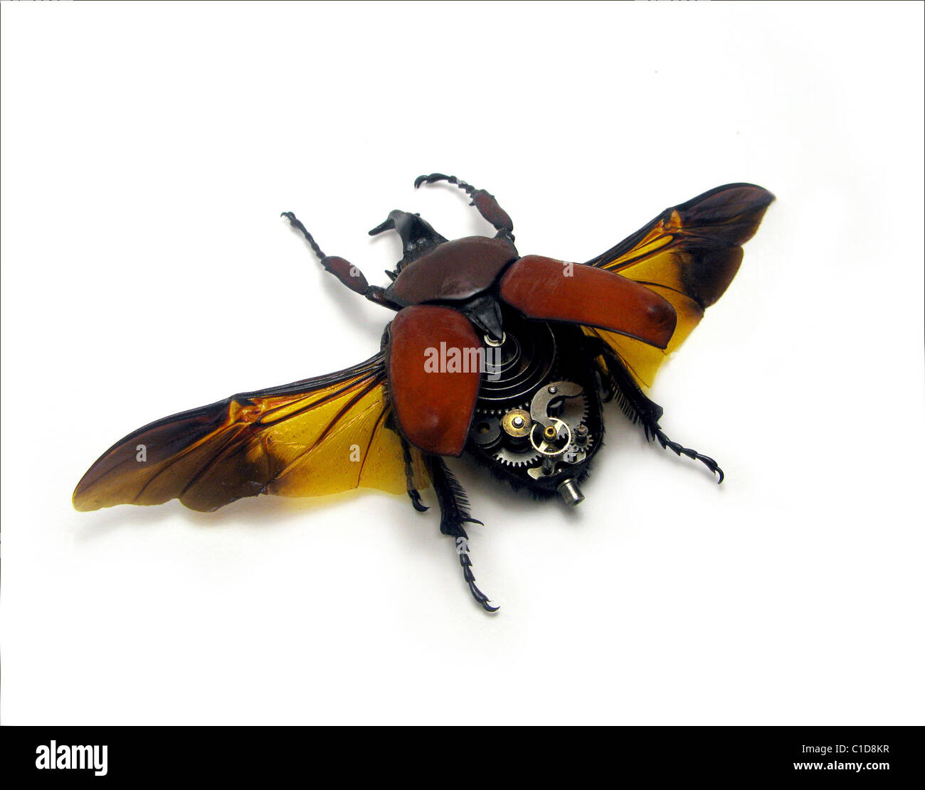 TIME FLIES Watch the birdies... Artist Mike Libby has created a range ...