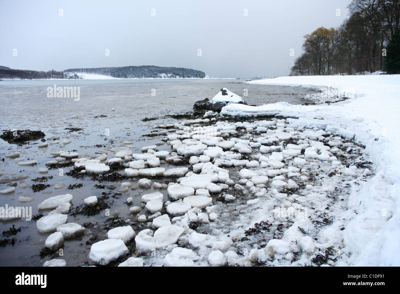 The sea freezing in Dalgety Bay Fife Scotland Stock Photo Alamy