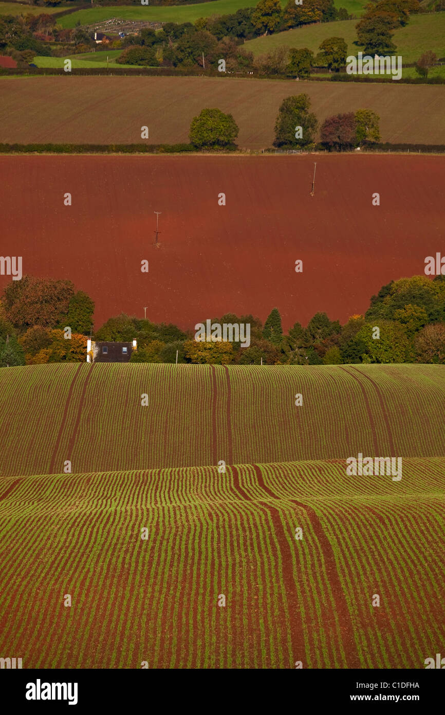 Ploughed field systems skirt near the foot of the Raddon Hills in Devon. Stock Photo