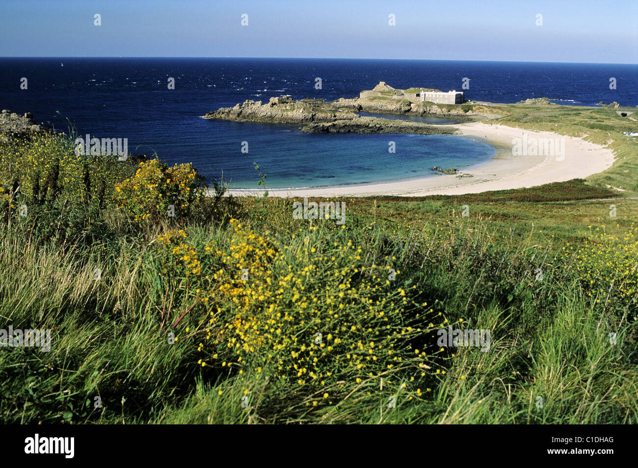 DORSET HAMPSHIRE Islands Jersey Guernsey Isle of - Main Image