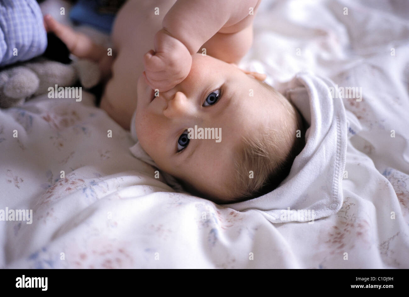 France Paris Un Bebe Allonge Sucant Son Pouce Stock Photo Alamy France Paris Un Bebe Allonge Sucant Son Pouce Stock Photo Alamy