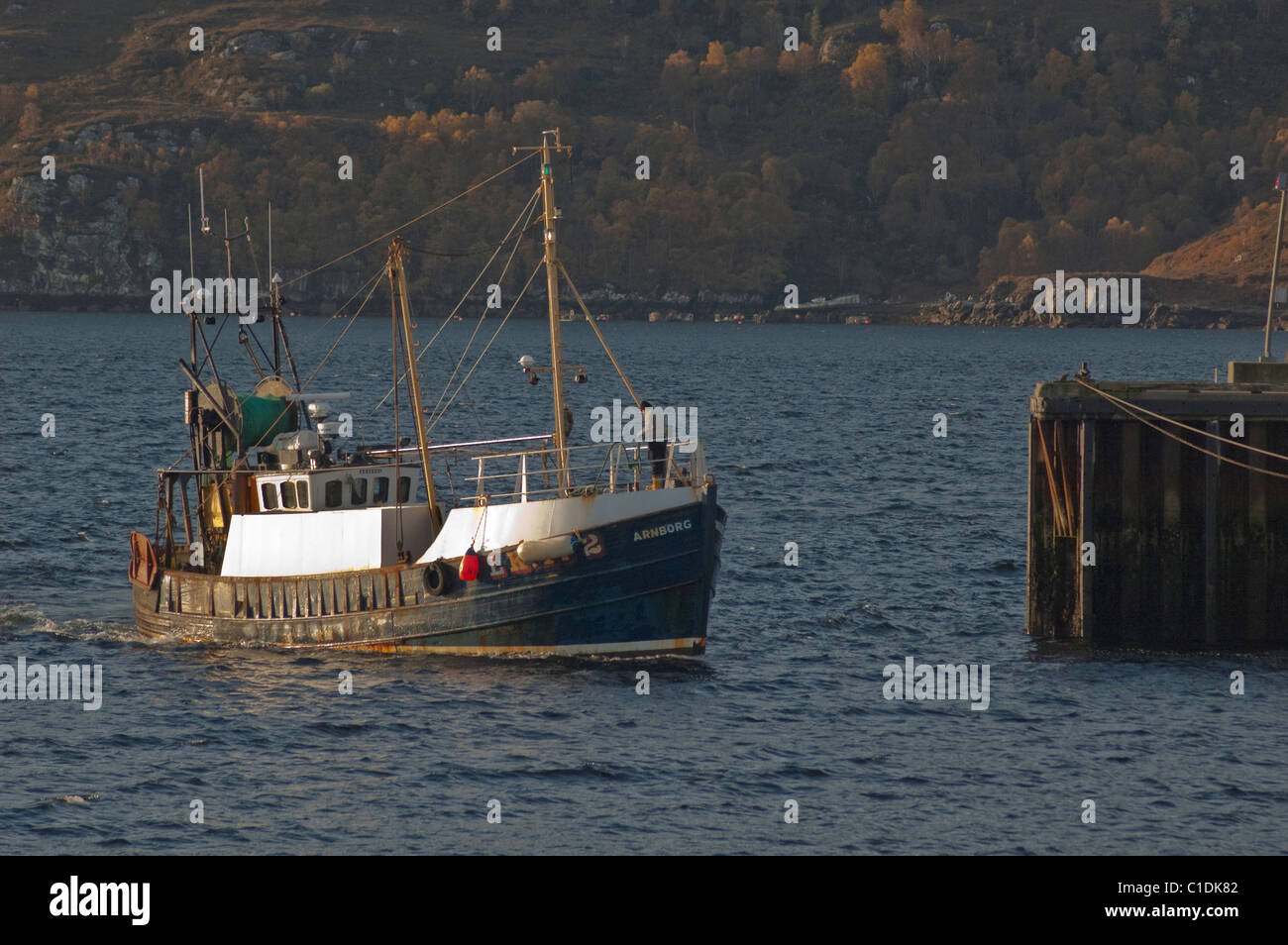 Fishing boat returning to Ullapool harbour early mornig Stock Photo - Alamy