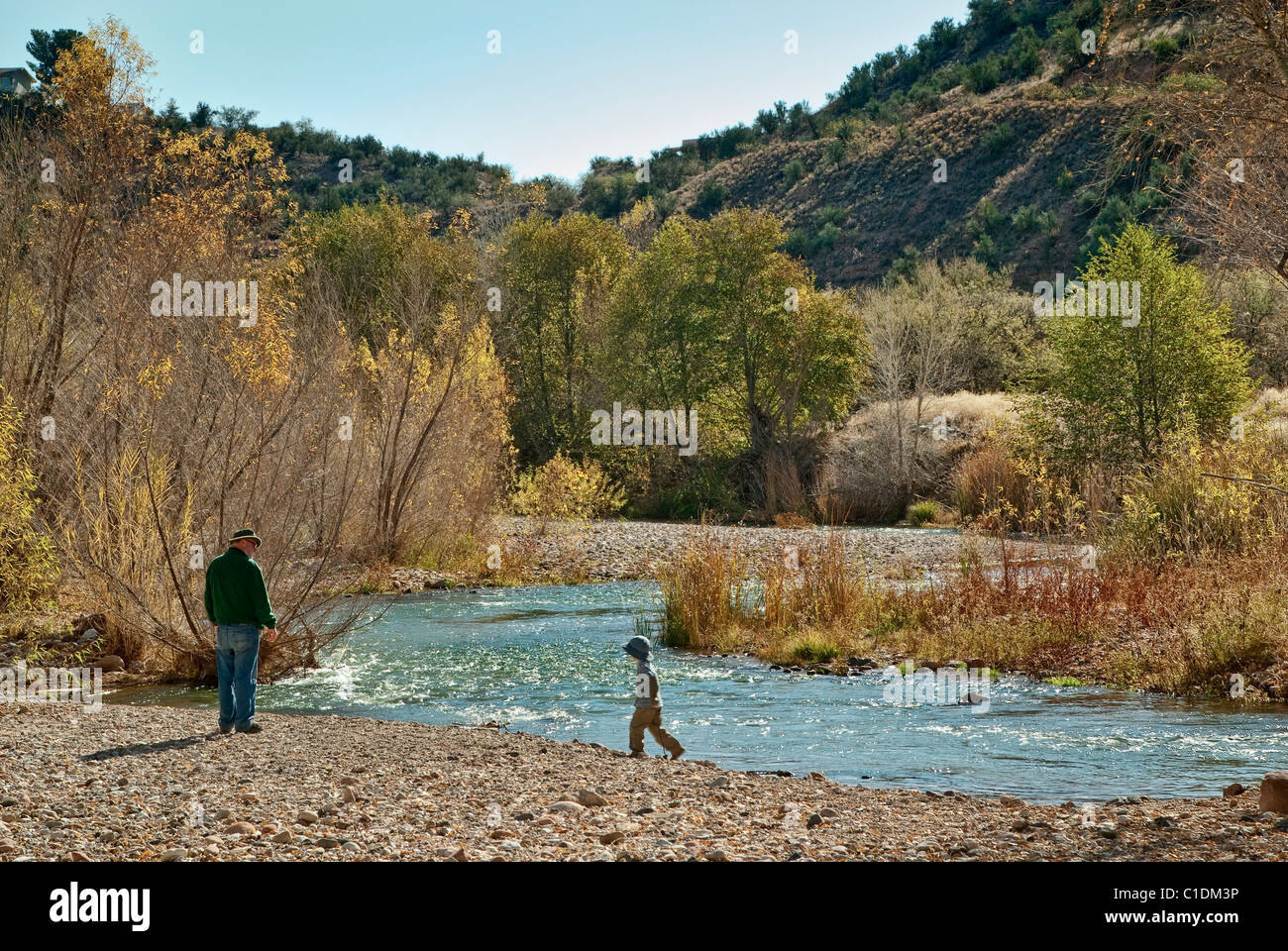 Grandfather and toddler walking between cottonwoods and willows at Verde River Greenway near town of Cottonwood, Arizona, USA Stock Photo