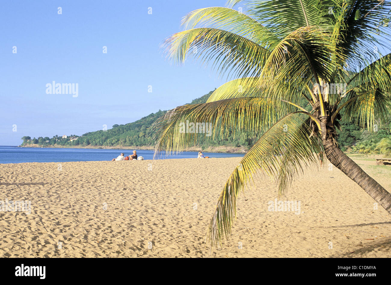 France, Guadeloupe, Basse Terre, Deshaies, beach of grande Anse Stock Photo Alamy