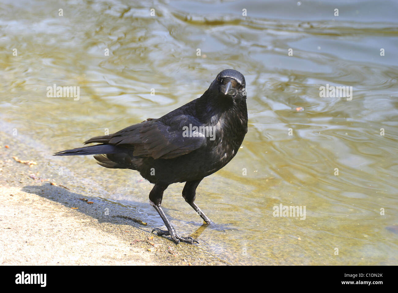 Rave not war hi-res stock photography and images - Alamy