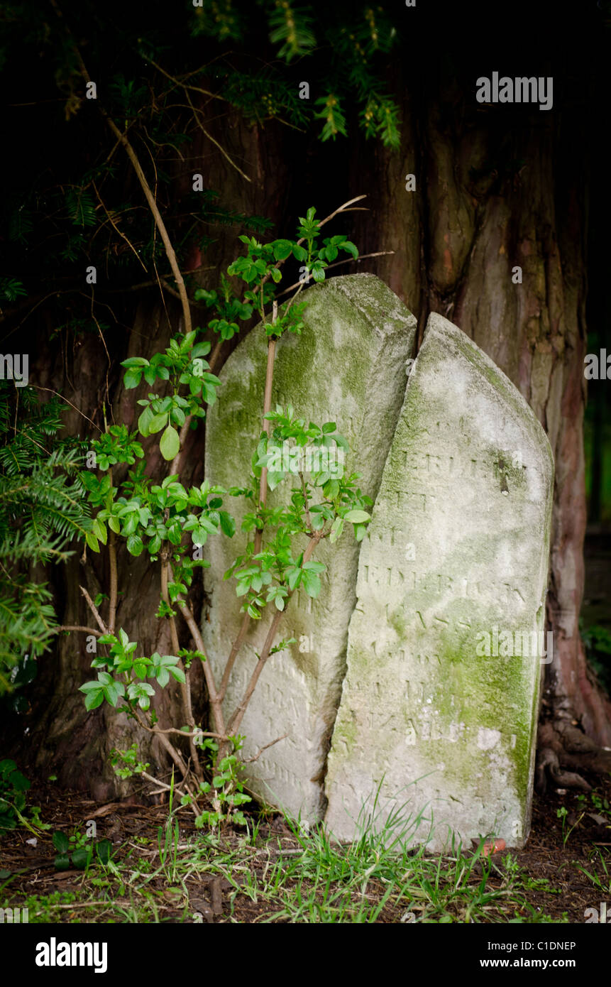 cracked gravestone Stock Photo