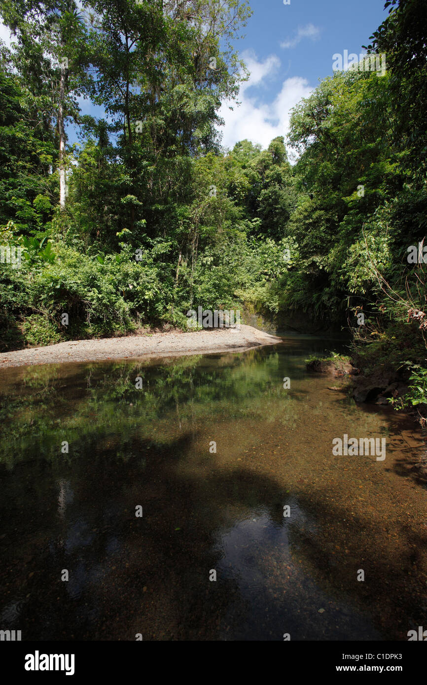 A river through the rain forest near Drake Bay, Osa Peninsula, Costa Rica Stock Photo