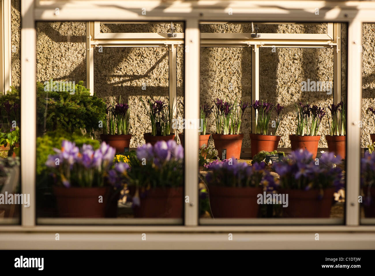alpine house greenhouse high resolution stock photography and images alamy