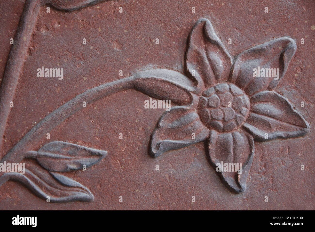 INDIA, Delhi 20110310,Red Ford Stock Photo