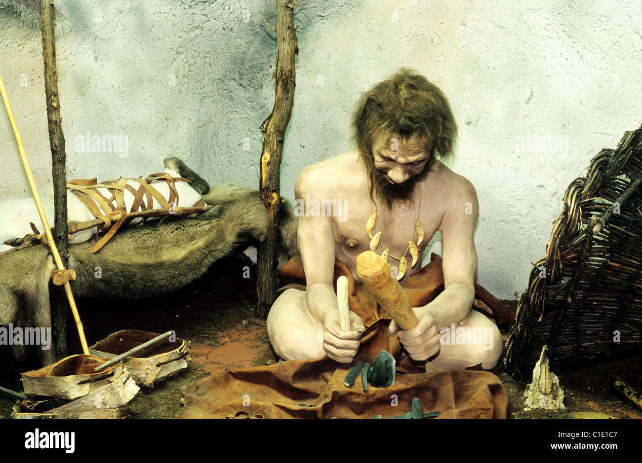 France, Gard, Rousson, Prehistorama, Museum of the origins and the evolution of mankind Stock Photo