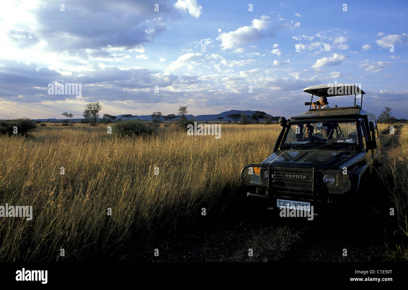 Tanzania, Serengeti National Park, Serengeti plain, tourists riding in four wheel drive cars Stock Photo