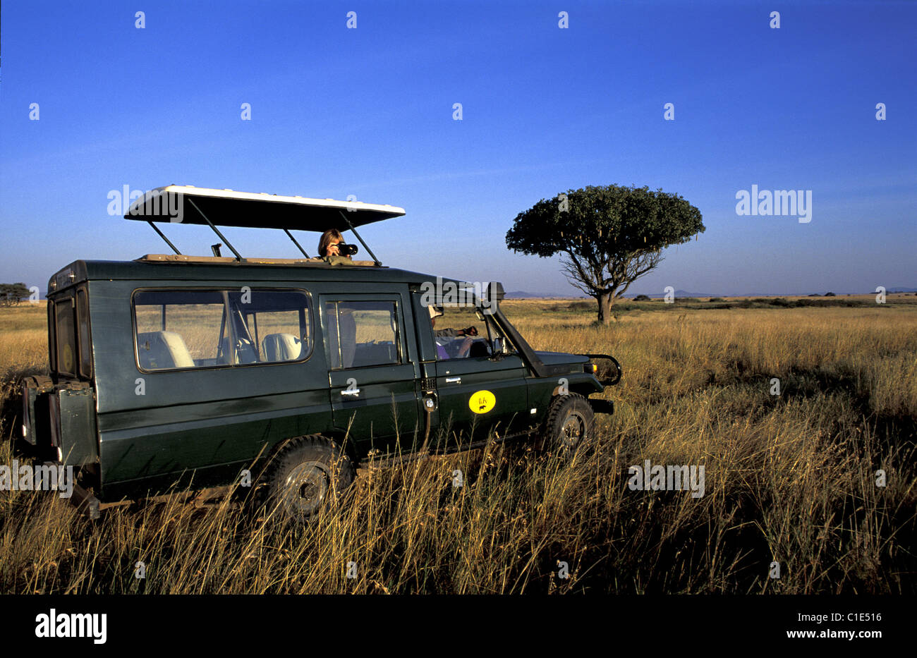 Tanzania, Serengeti National Park, Serengeti plain, tourists riding in four wheel drive cars Stock Photo