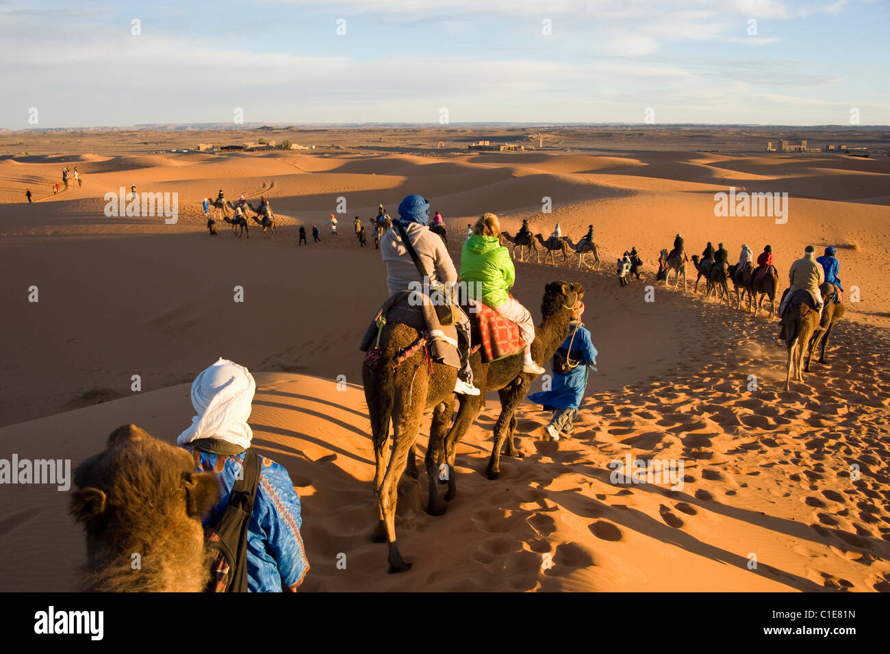A long camel train of tourists at sunrise in the Sahara desert Stock Photo