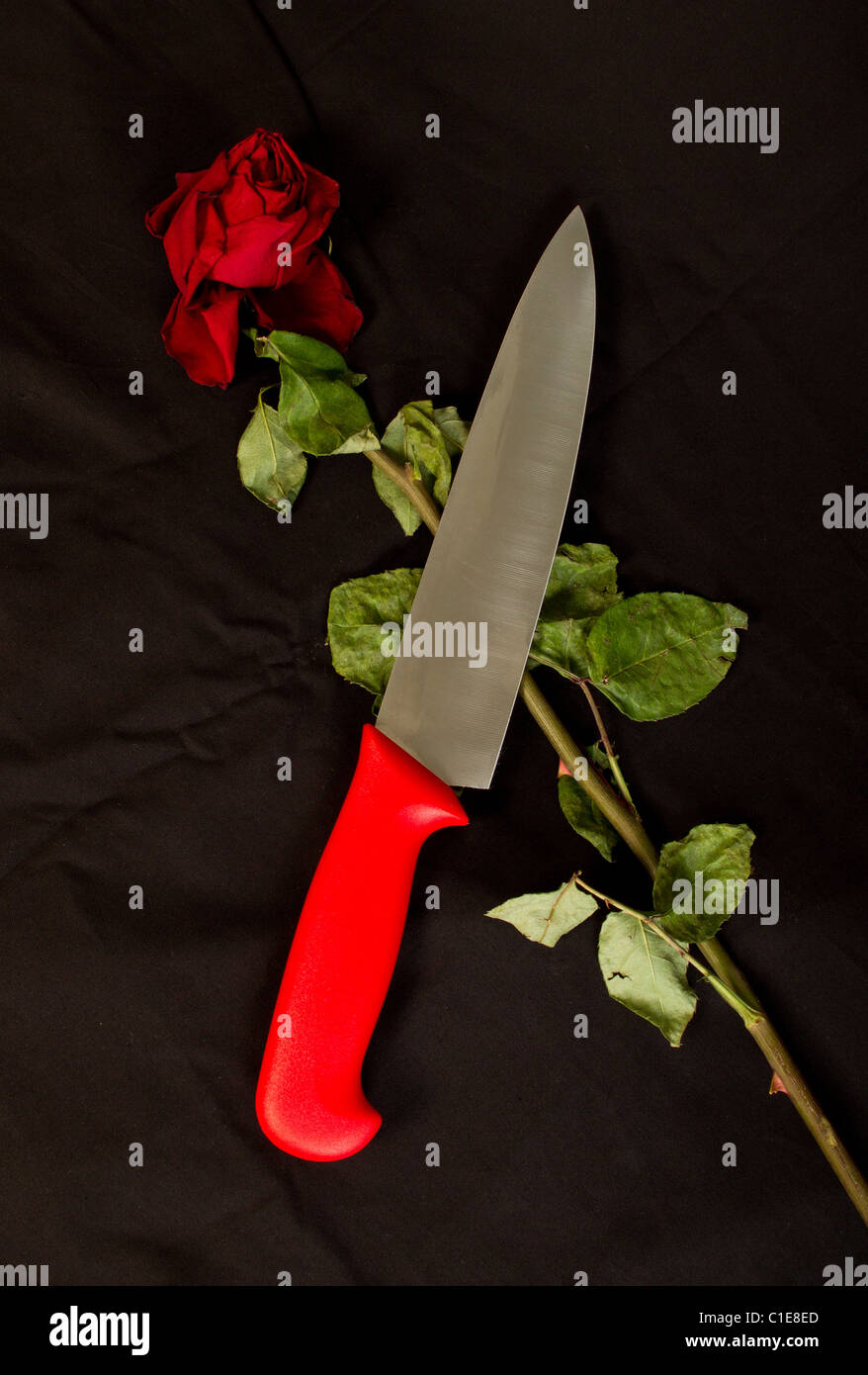 Big kitchen knife and almost withered red rose Stock Photo