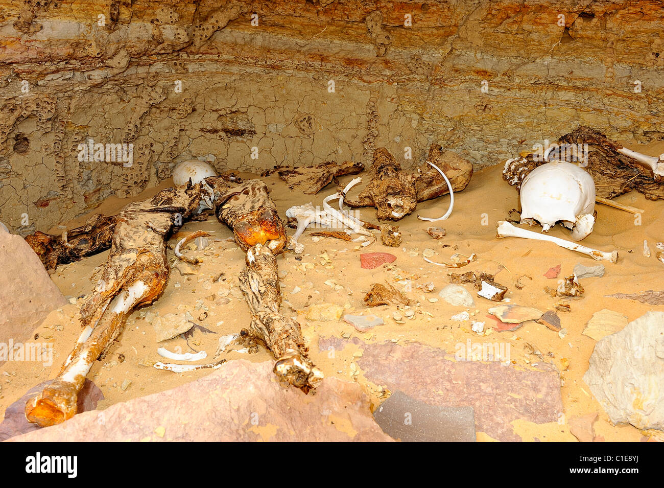 Open Roman grave with skeletons, bones and skulls in the Western Desert, Egypt Stock Photo