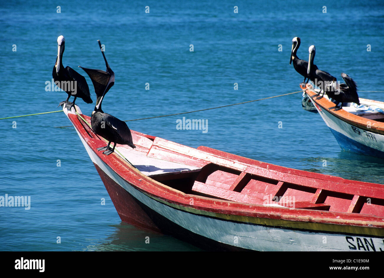 Venezuela, Margarita Island Stock Photo Alamy