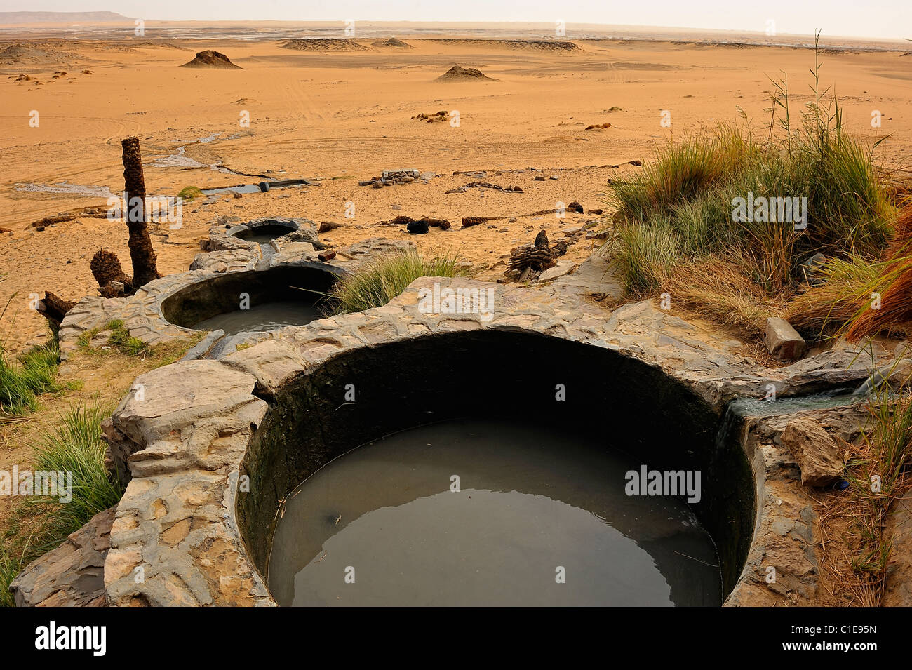 Freshwater spring in an oasis in the White Desert national park, Egypt ...
